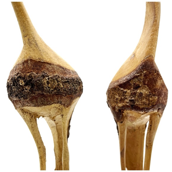 Pair of Hand Carved Cranes 15“ Tall Carved Single Pine Limb Or Tree Sculpture - Picture 3 of 8